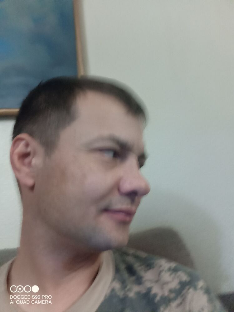  26597613  , 43 ,    