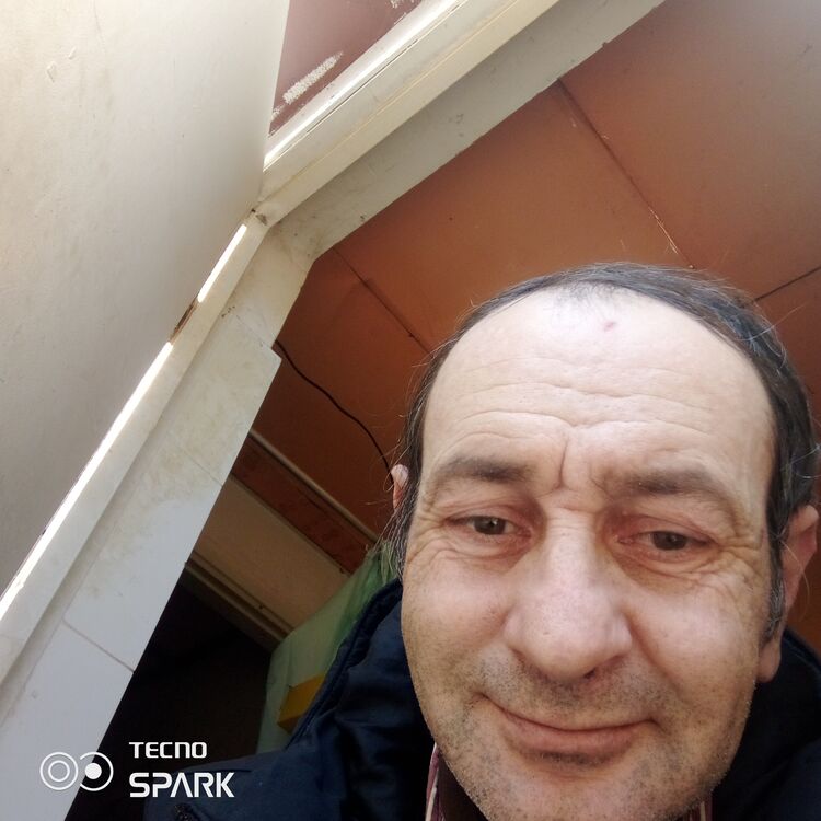 ���� 50206733 ������� �����, 50 ���, ���� ���������� � ����