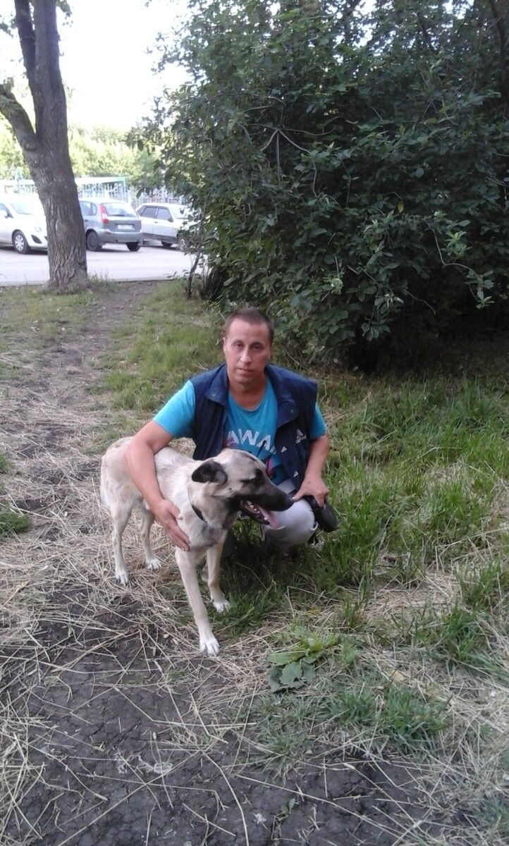 ���������� ������������, ���� ������� ����, 51 ���, ������������ ��� ����� � ���������, c�������� ���������