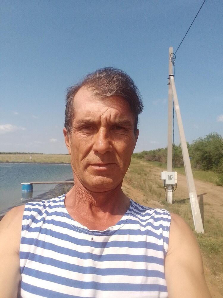 ���� 38193353 ������� Zi, 50 ���, ���� ���������� � ��������