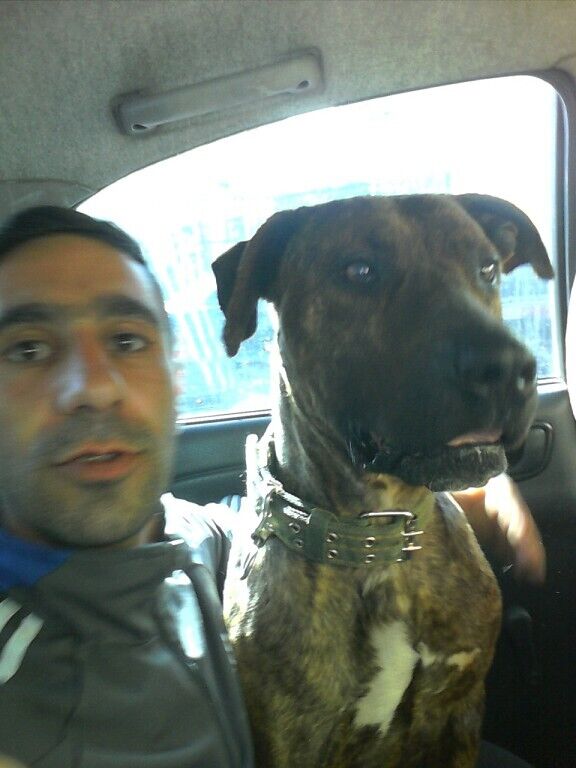 ���������� ������, ���� ������� Artak, 40 ���, ������������ ��� ������, ����� � ���������