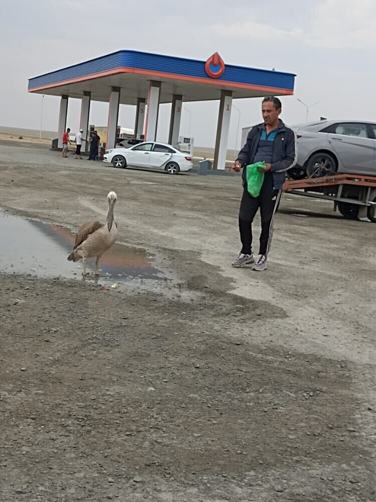  -,   , 41 ,   ,   , c 