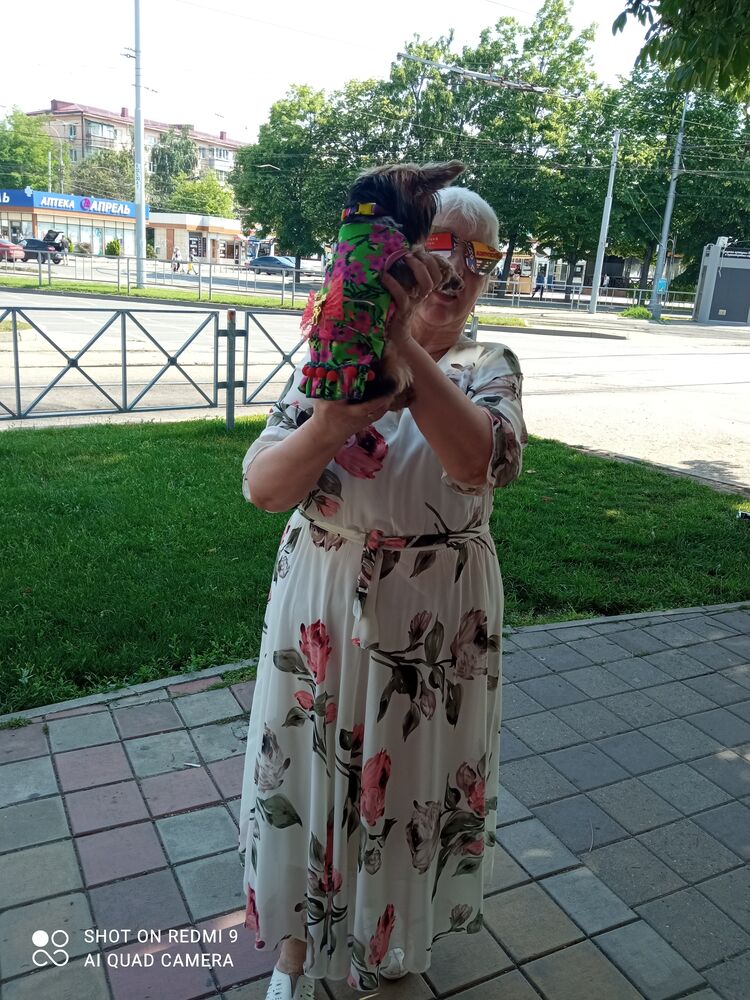  ,   , 70 ,   c 