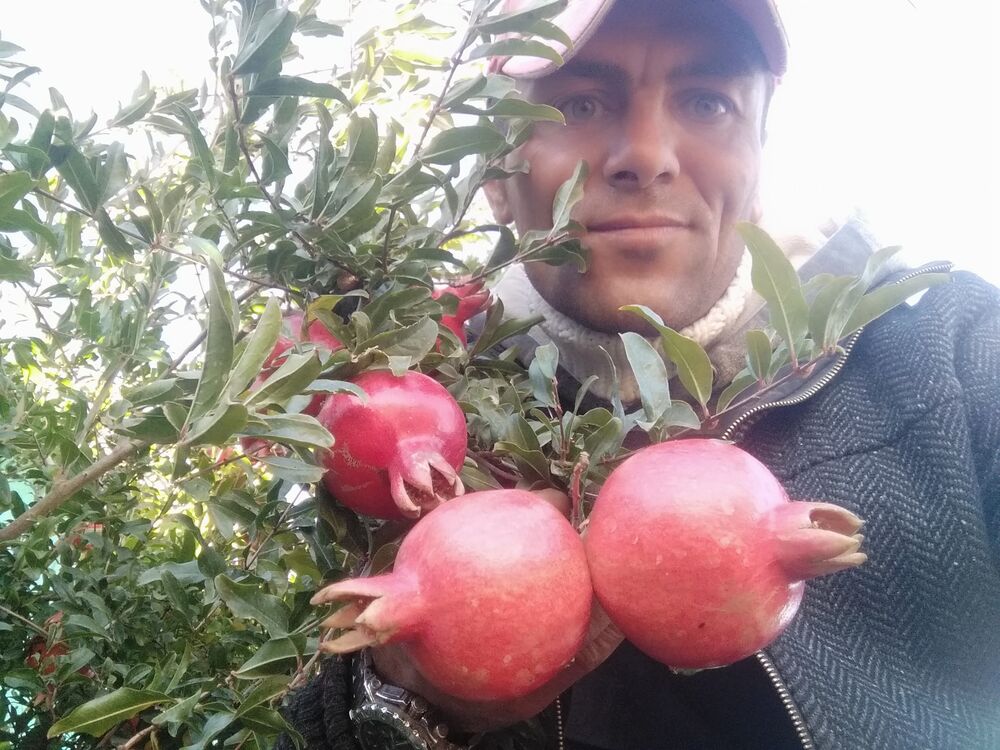 ���������� �����������, ���� ������� Bahtiar, 37 ���, ������������ ��� ������, ����� � ���������