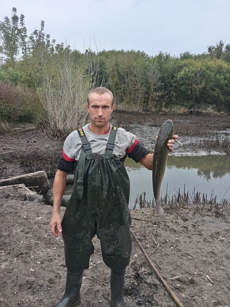 ���� 38379213 ������� �����, 33 ����, ���� ���������� � ������