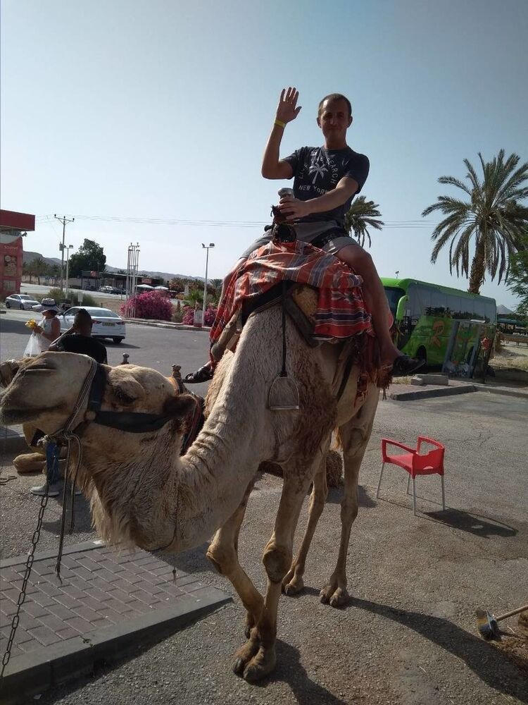  ,   Cirlan, 36 ,   