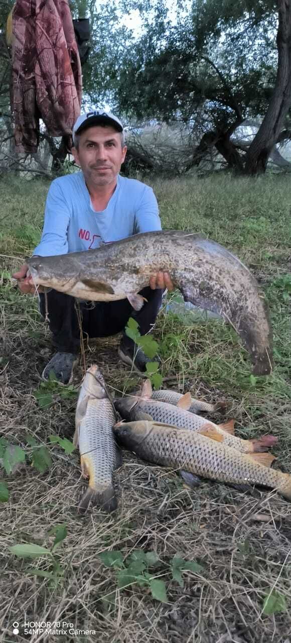  44564263  , 45 ,    