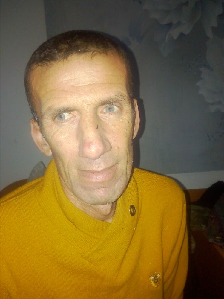 48246983  , 46 ,    