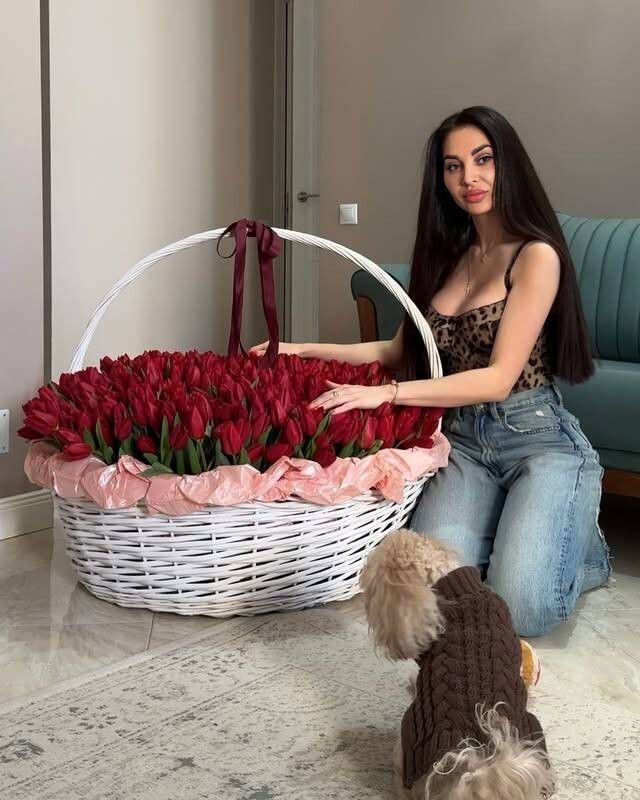 ���� 52116463 ������� Viola, 34 ����, ���� ���������� � �������