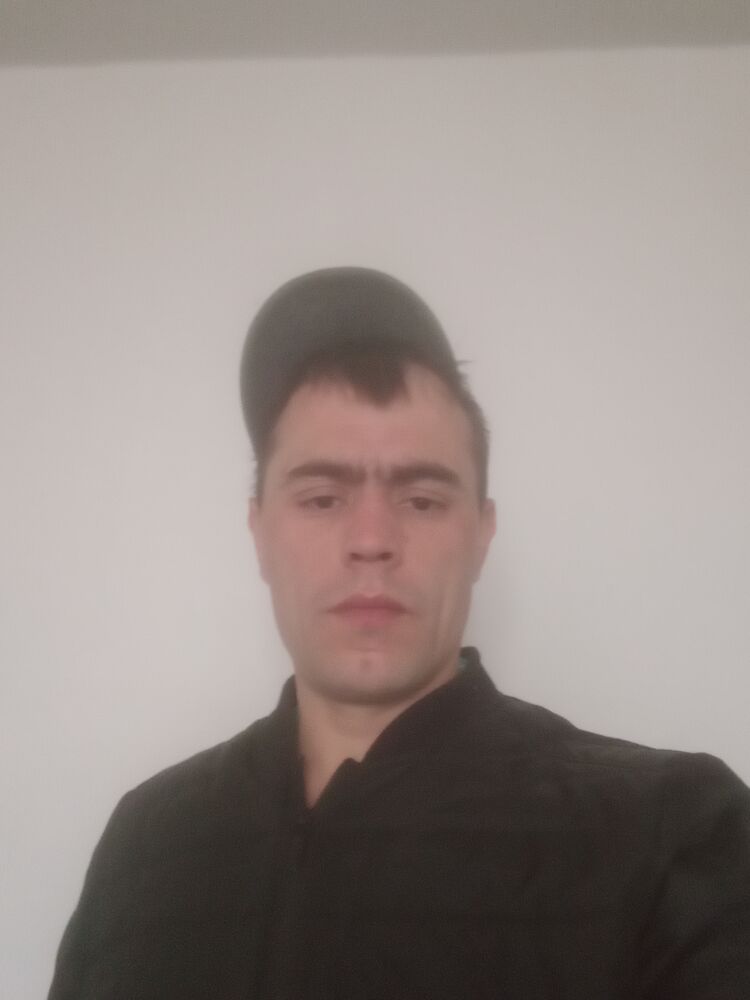  33801333  , 41 ,    