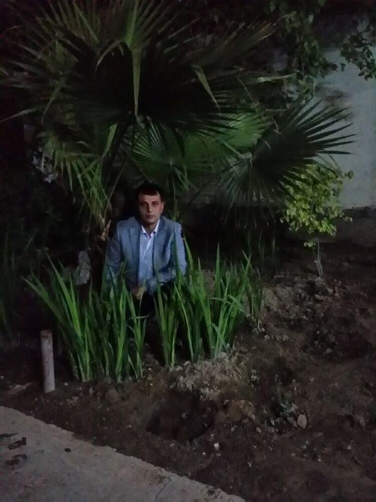 ���� 12516883 ������� Zzz, 45 ���, ���� ���������� � �������