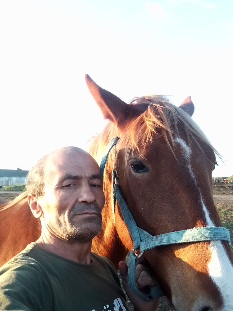 42917163  Bextiyar, 55 ,    