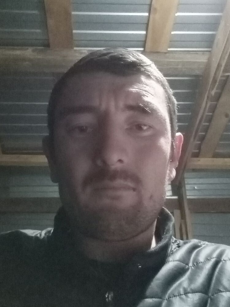  47088623  , 37 ,    