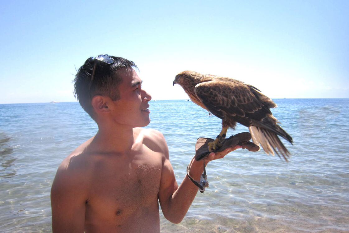 ���� 5410733 ������� Umax, 35 ���, ���� ���������� � �������