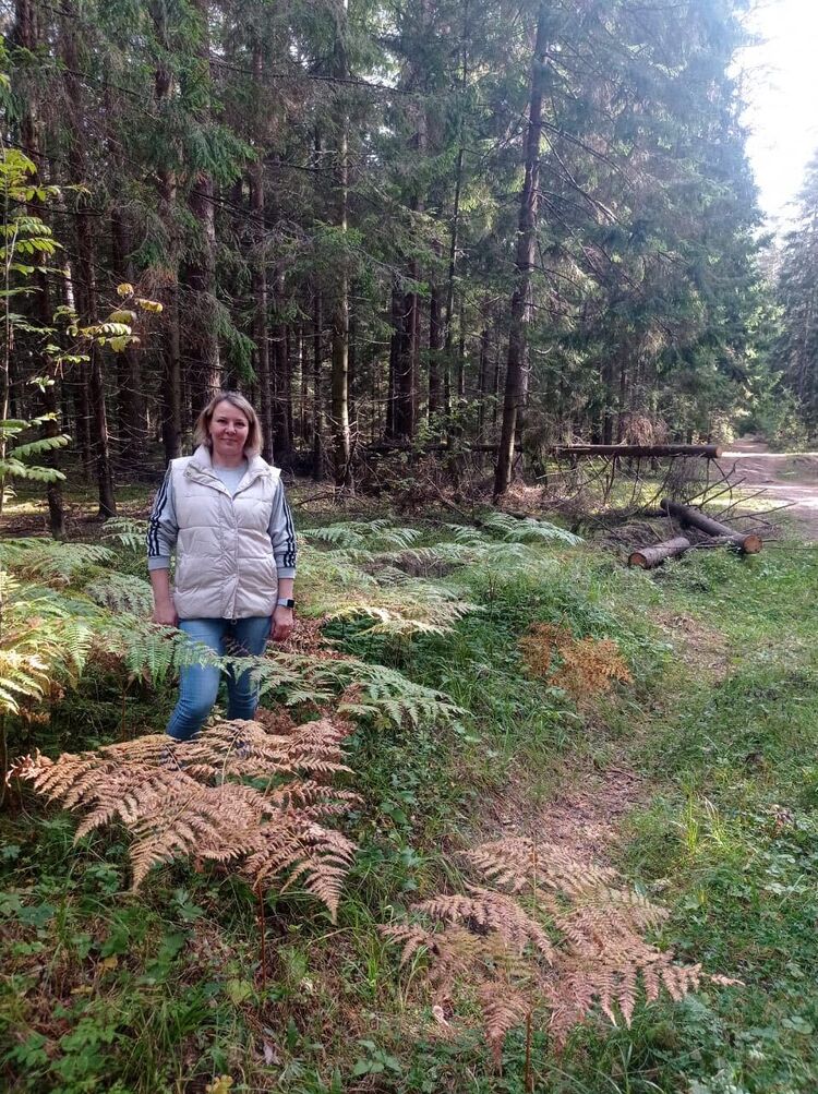 ���������� ������, ���� ������� �������, 46 ���, ������������ ��� c�������� ���������, ���������