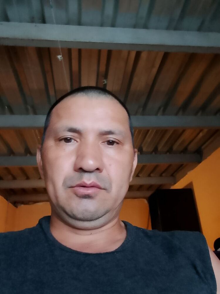 ���� 45412973 ������� �����, 45 ���, ���� ���������� � ����������