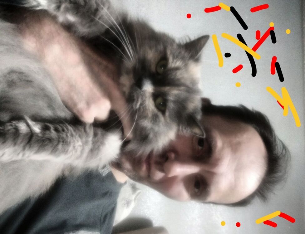 ���������� ����������, ���� ������� ����, 50 ���, ������������ ��� ������, ����� � ���������