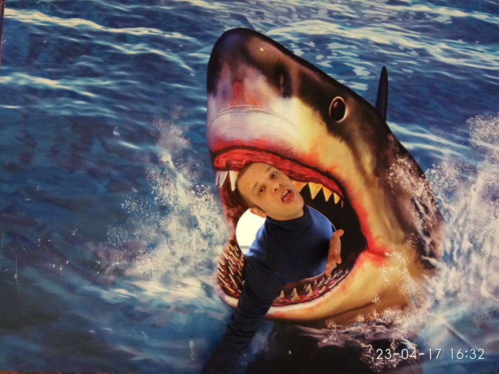 ���������� �����, ���� ������� ���������, 44 ����, ������������ ��� ������, ����� � ���������