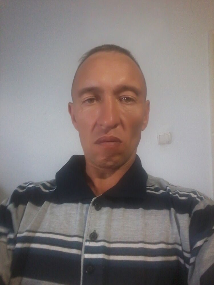  9761353  , 51 ,    