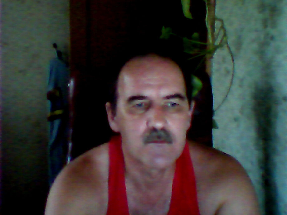  7822533  , 62 ,    