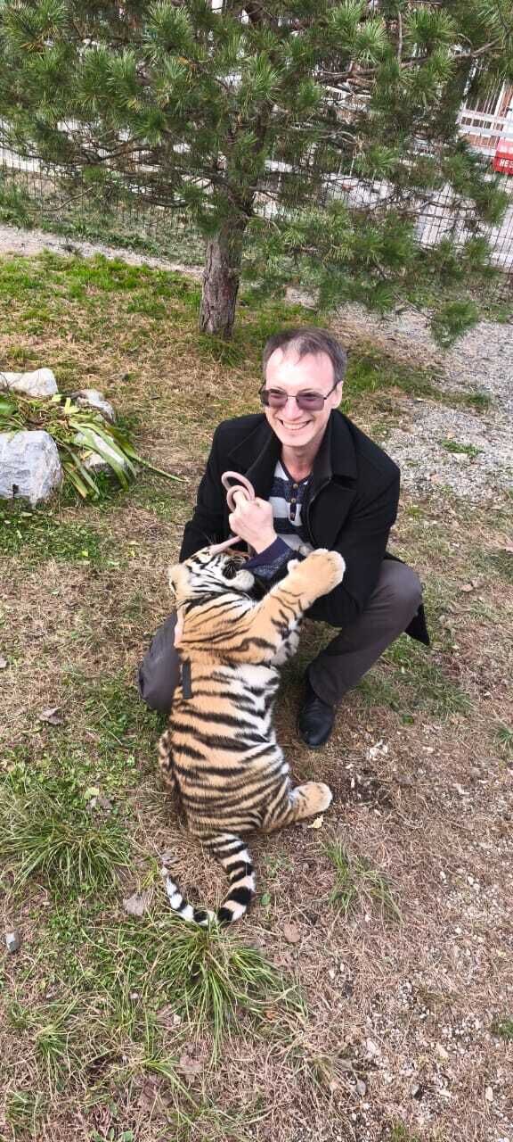 ���� 55813993 ������� ������, 41 ���, ���� ���������� � ����������