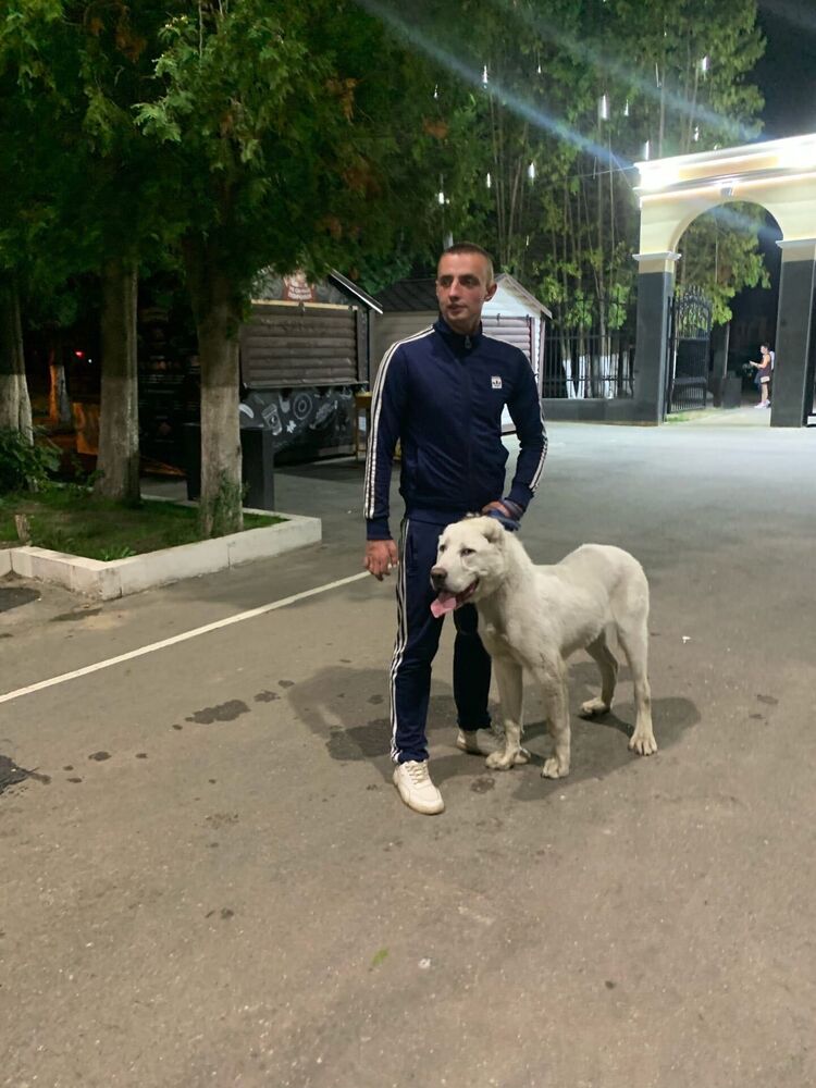 ���������� ������, ���� ������� Dmitriy, 29 ���, ������������ ��� ������, ����� � ���������, c�������� ���������, ���������