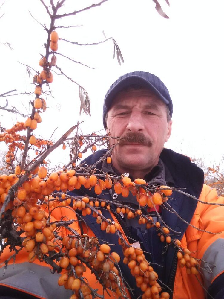 ���������� ����, ���� ������� ��������, 55 ���, ������������ ��� ������, ����� � ���������, c�������� ���������