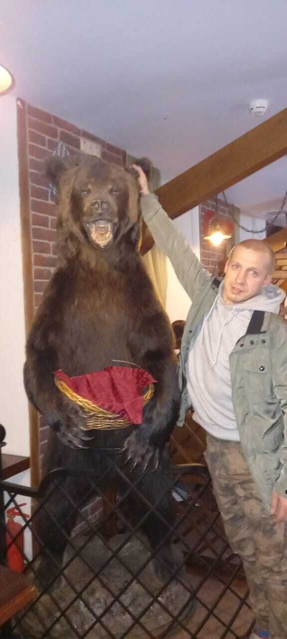  31643403  , 38 ,    -