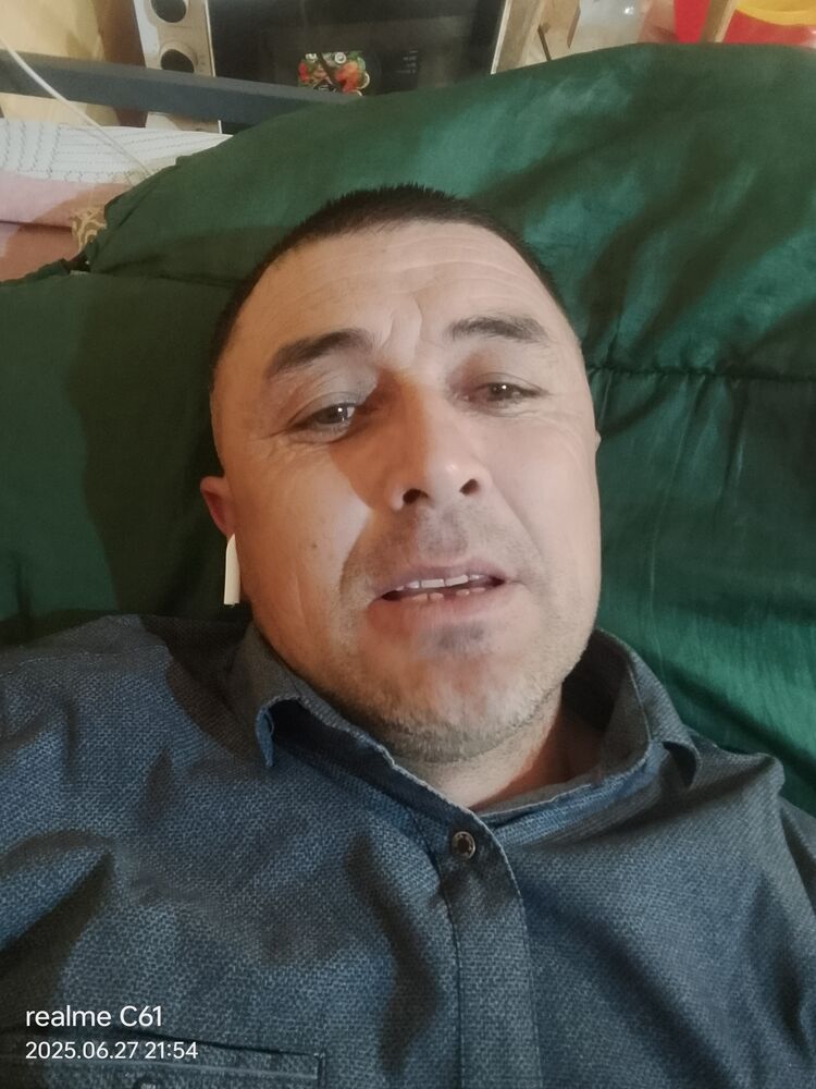  53649883  , 41 ,    -