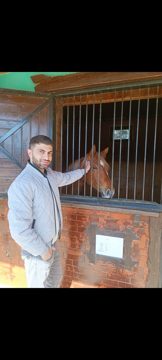 ���������� ����, ���� ������� �����, 37 ���, ������������ ��� ������, ����� � ���������