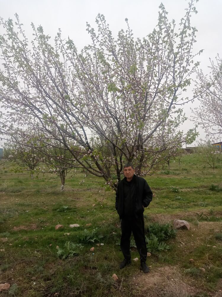  ,   , 44 ,   c 