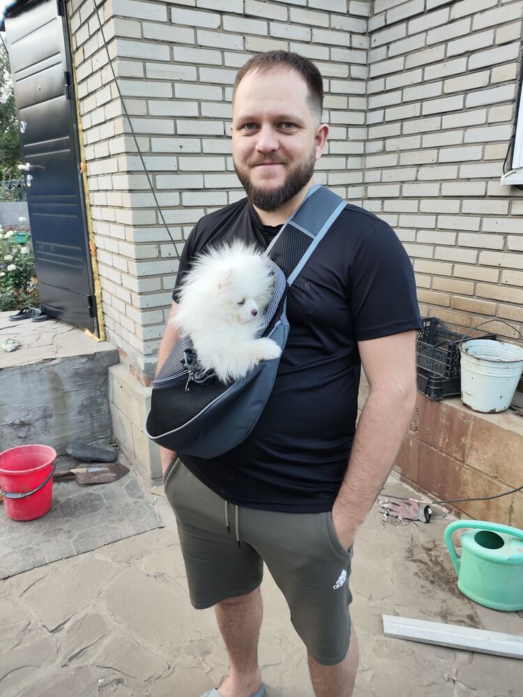  53307143  , 36 ,    -