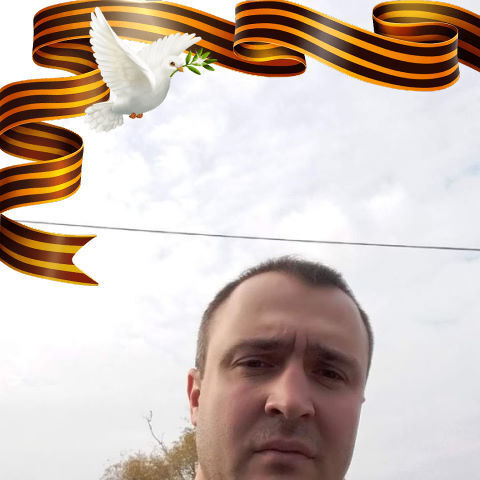  29561213  , 41 ,    