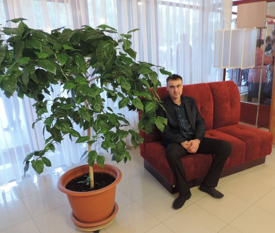 ���� 5084633 ������� �������, 38 ���, ���� ���������� � �����