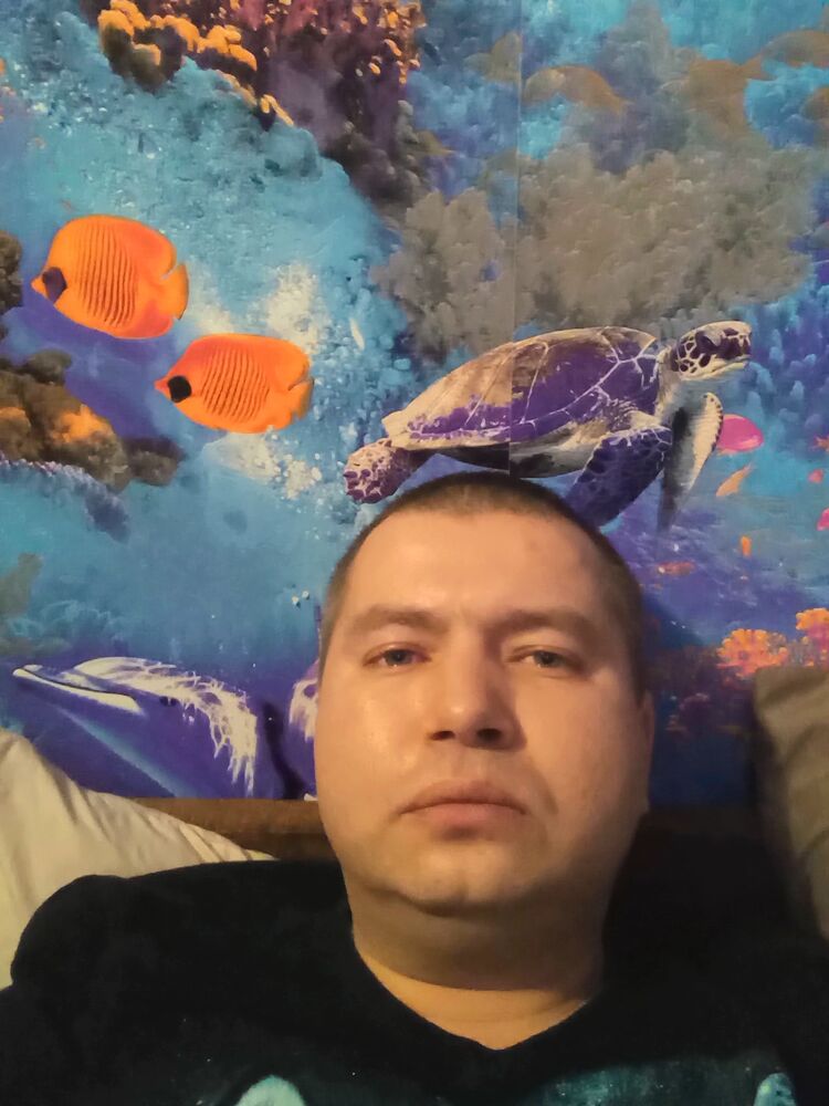  34125573  , 39 ,    