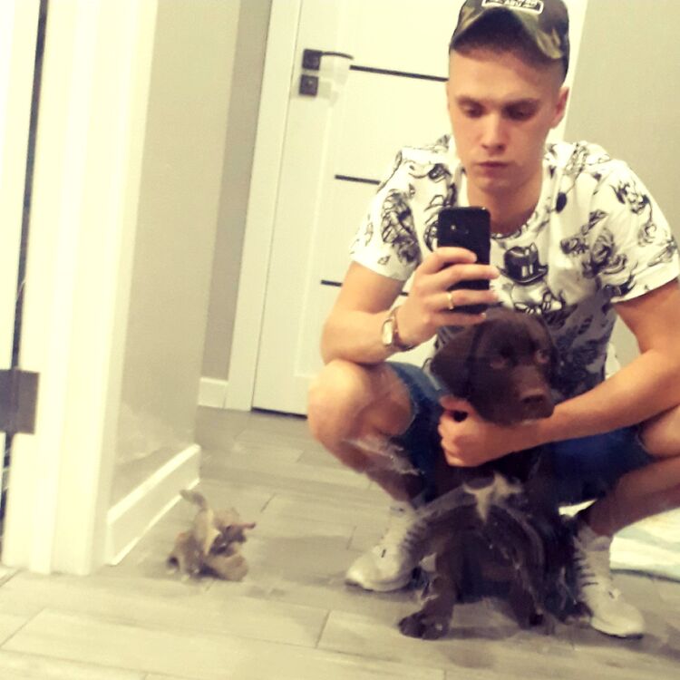 ���� 25857283 ������� �������, 31 ���, ���� ���������� � ��������