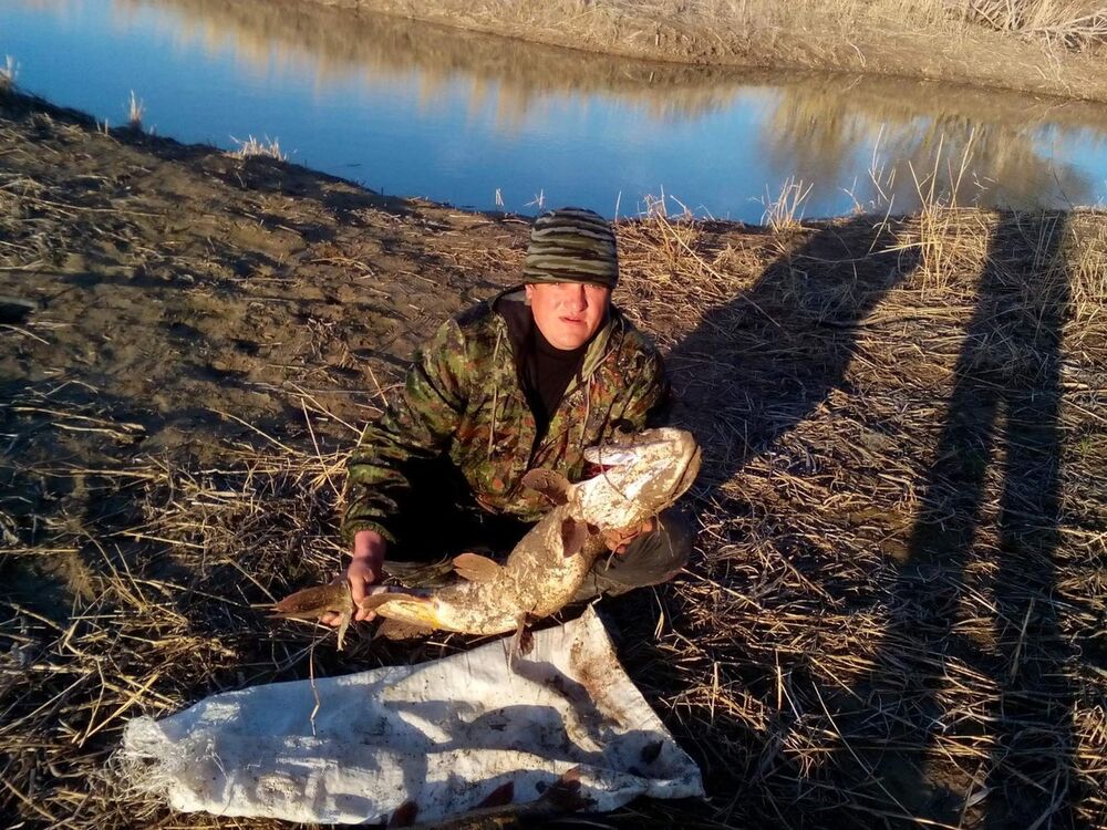 ���������� ������, ���� ������� ����, 41 ���, ������������ ��� ������, ����� � ���������, c�������� ���������