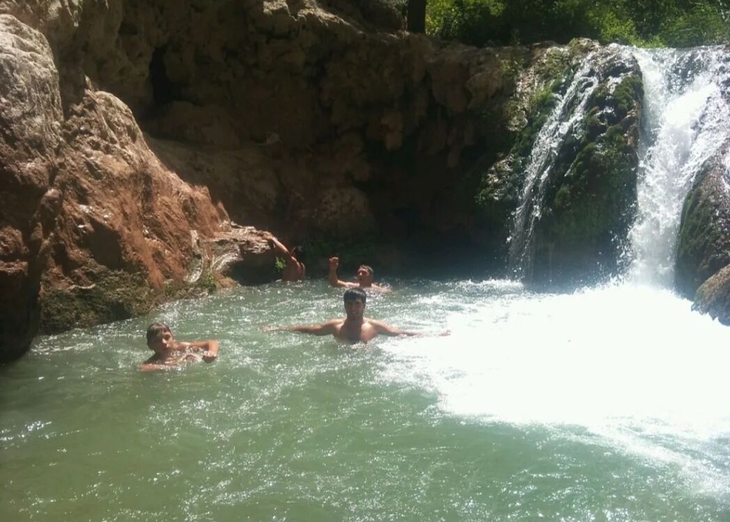 ���� 42955873 ������� �����, 42 ����, ���� ���������� � ����������