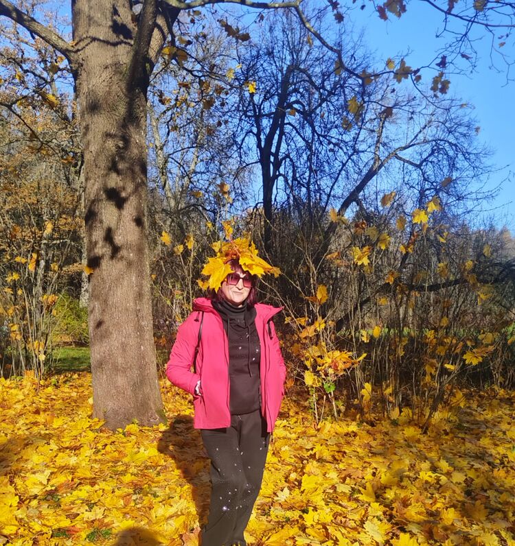  54738133   , 38 ,    -