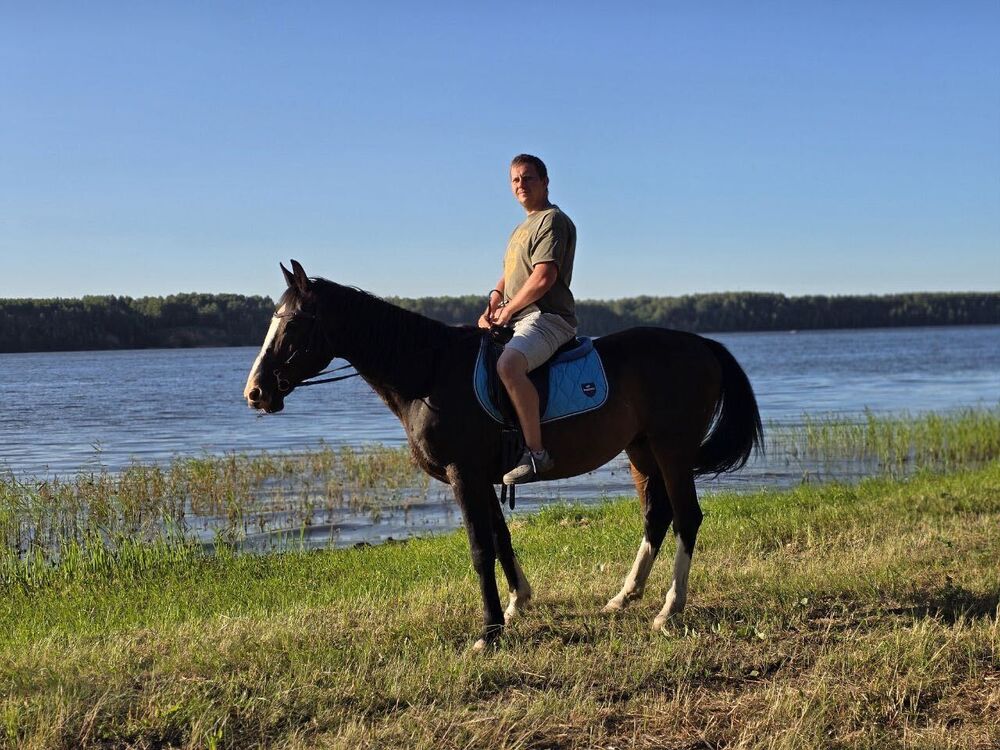 ���������� ������, ���� ������� ����, 31 ���, ������������ ��� ������, ����� � ���������, c�������� ���������, ���������