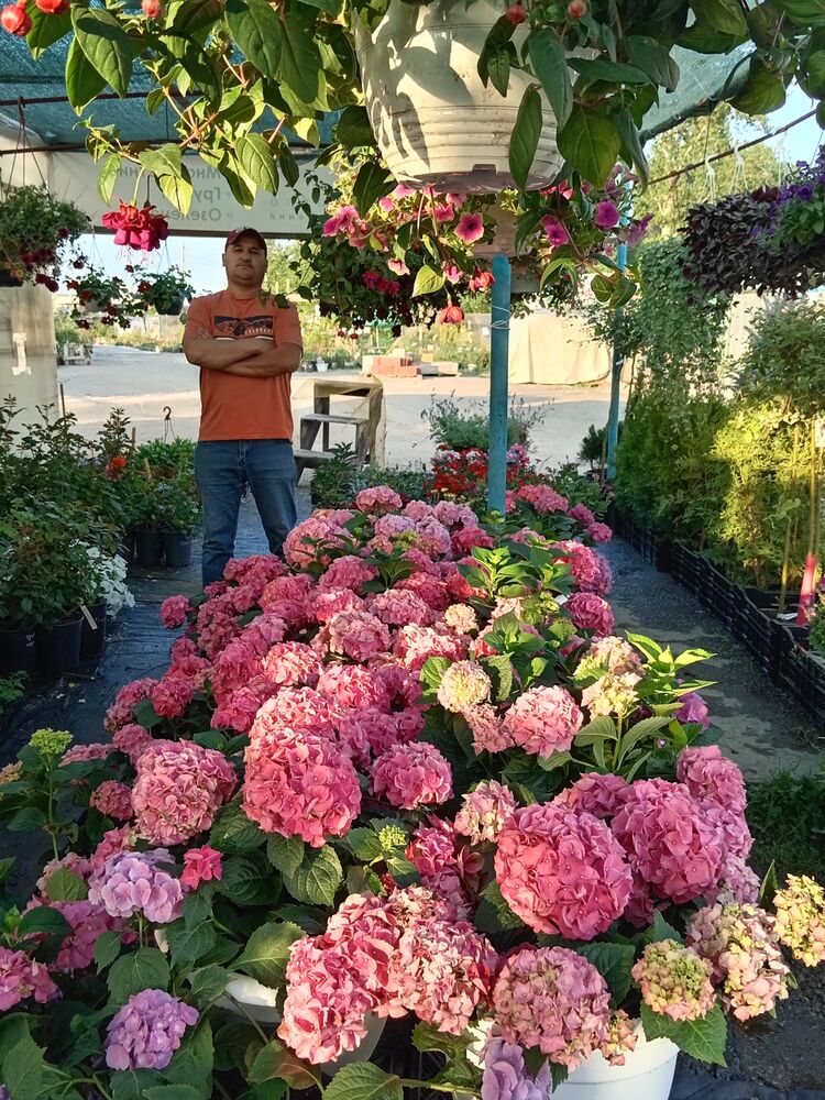 ���� 46058563 ������� ����, 36 ���, ���� ���������� � ����������