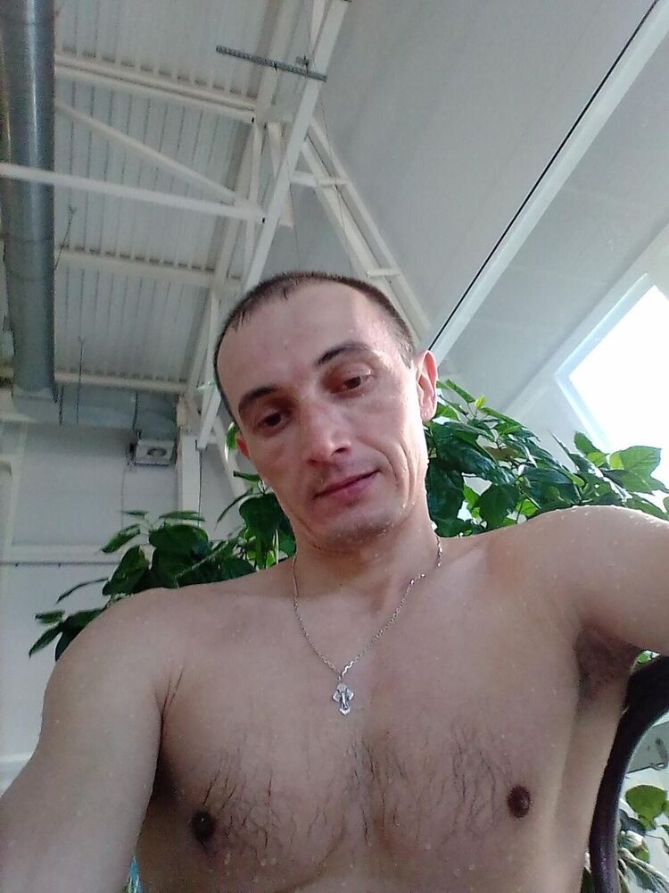  19288753  , 36 ,     