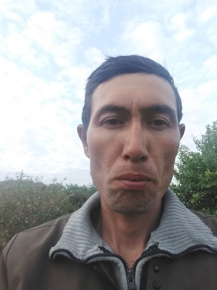  34626643  , 34 ,    
