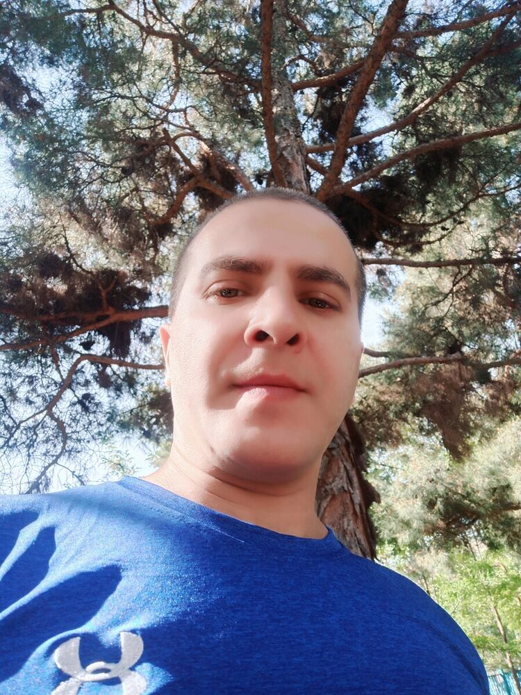 ���� 20026583 ������� �����, 44 ����, ���� ���������� � �������