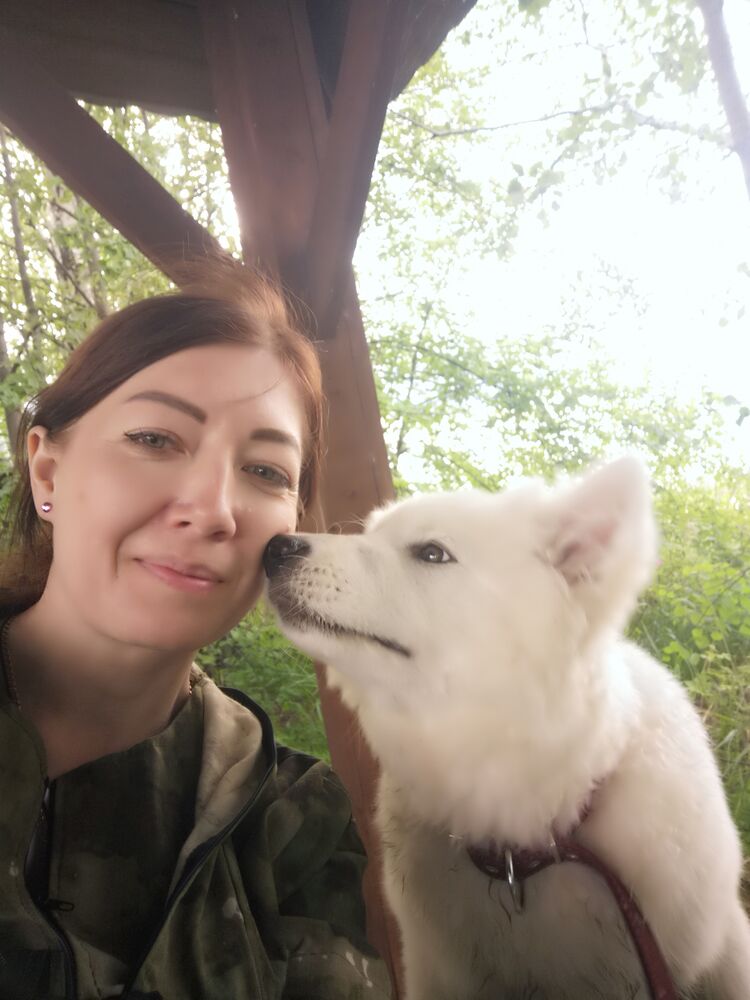 ���������� ������������, ���� ������� �����, 41 ���, ������������ ��� ������, ����� � ���������, ���������