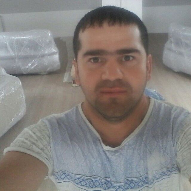  ,   Tima, 41 ,   ,   , c 