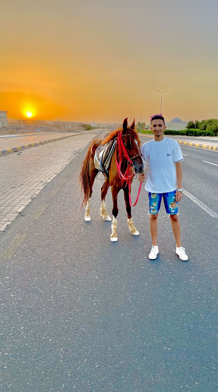 ���� 37208343 ������� Ahmed, 28 ���, ���� ���������� � ������