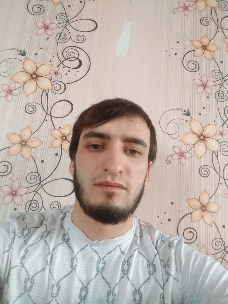  31240343  , 33 ,    