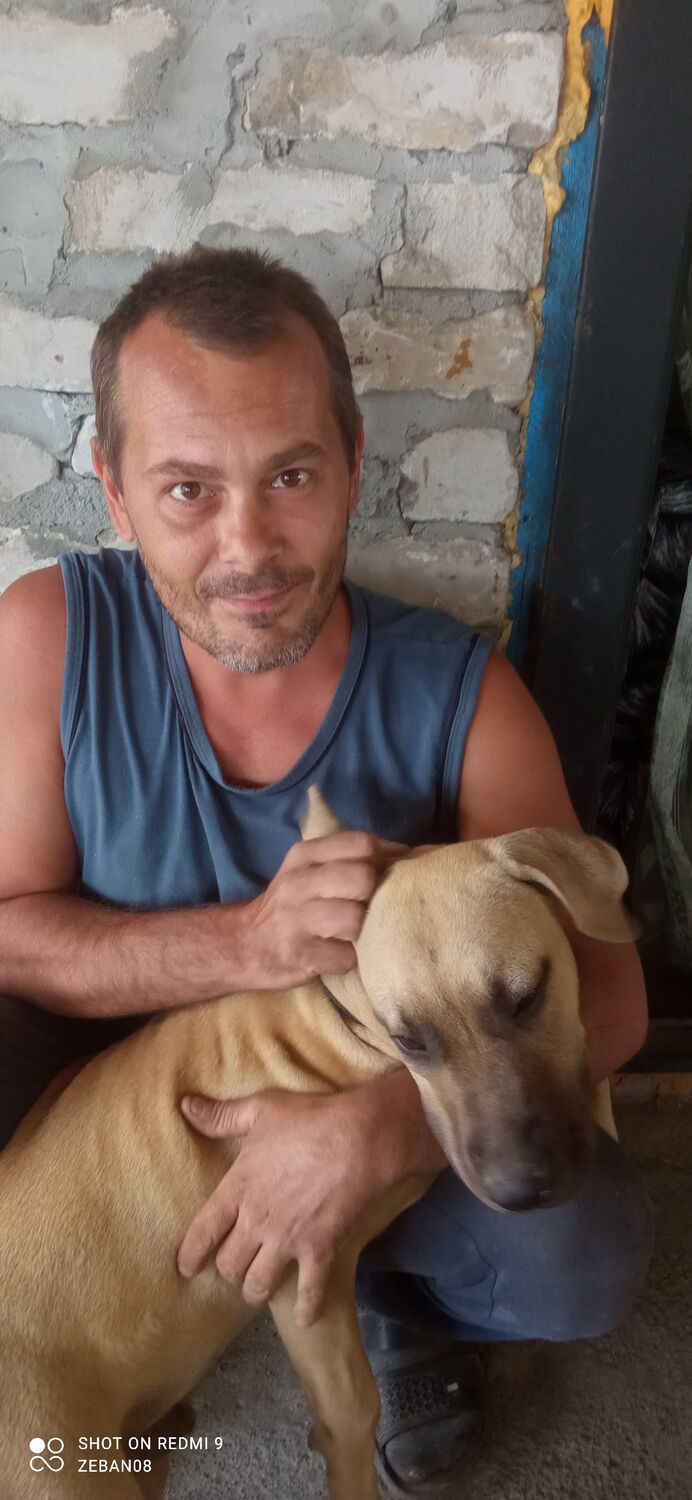 ���� 38641663 ������� ������, 40 ���, ���� ���������� � ����������