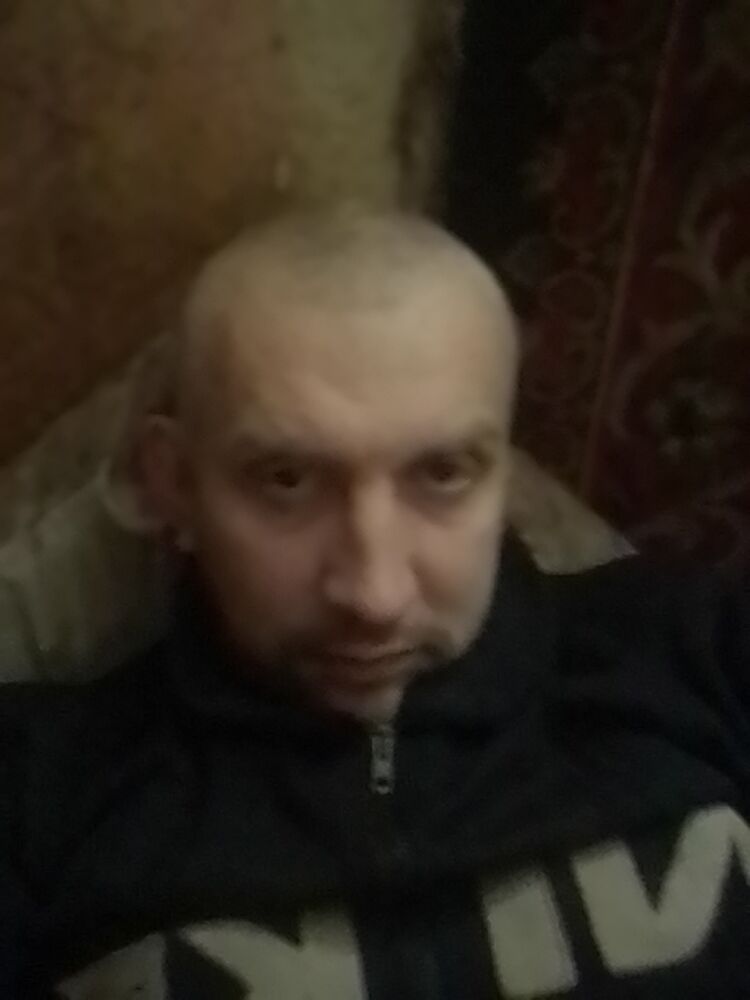  31222943  , 43 ,    